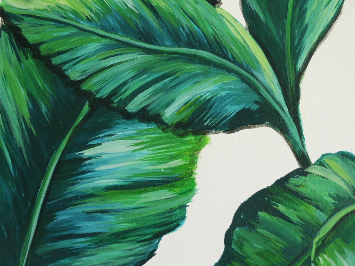 Art Maya Rooms Isla Holbox Ngoại thất bức ảnh